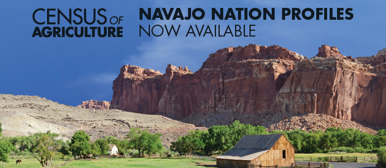 Navajo Nation Profiles Now Available